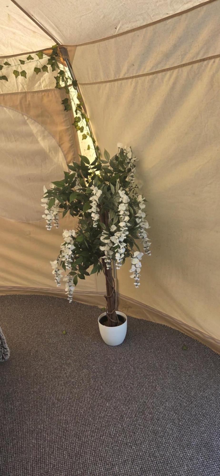 Glamping In Dromineer Hotell Exteriör bild